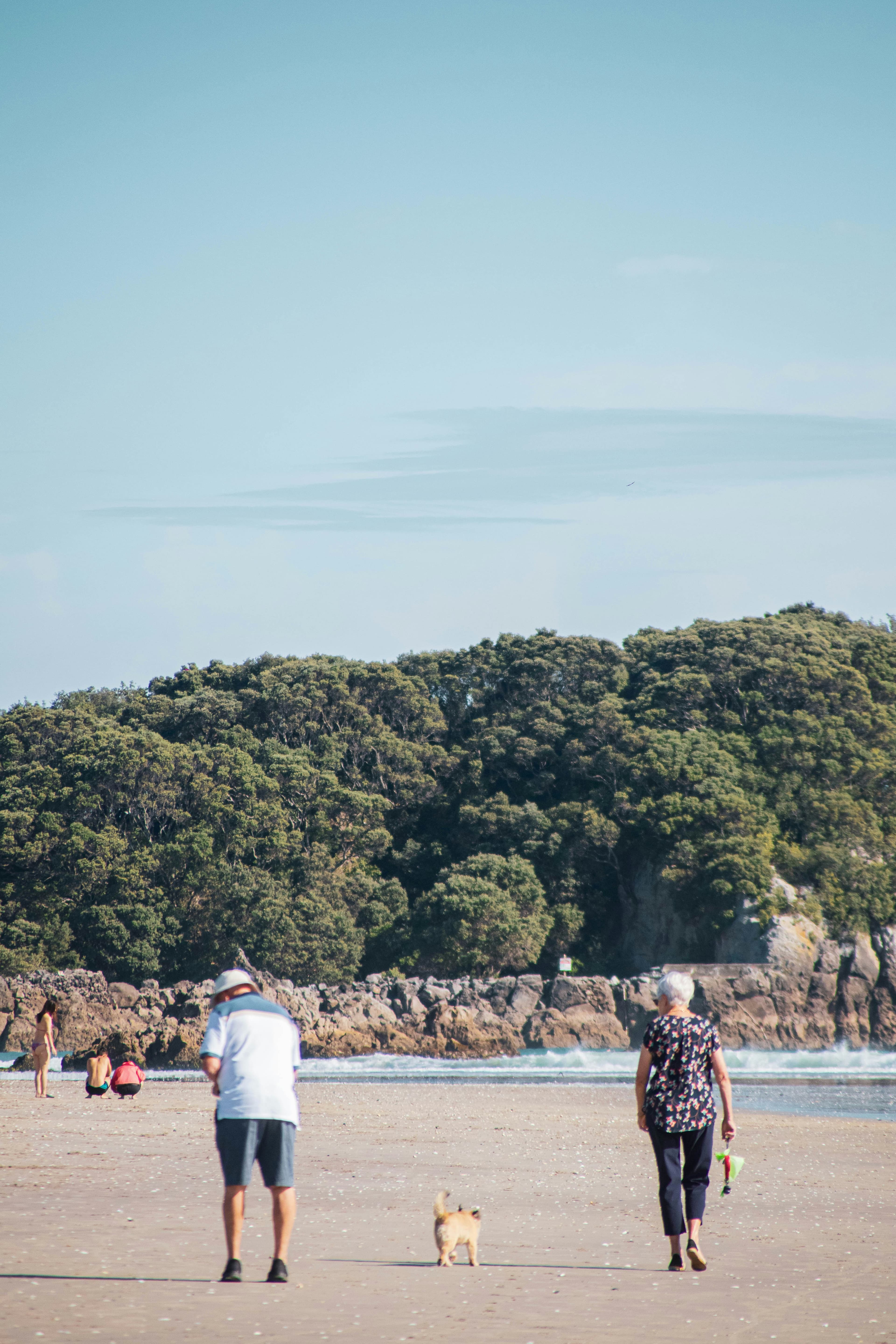 Couple walking on a beach